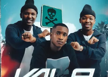 DOWNLOAD Dankie Boi, GoldMax & Blacks JNR – Vala Ft. Dlala Mshungisi & Black Catz mp3