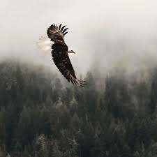 DOWNLOAD Spiritual Warfare Music Epic – War Worship mp3