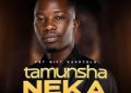 DOWNLOAD Pst Gift Kaputula – Tamunsha Neka mp3