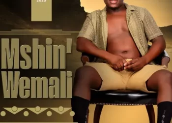 DOWNLOAD MSHINWEMALI – Ithathe mp3