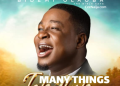 DOWNLOAD Bidemi Olaoba – Many Things mp3