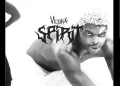 DOWNLOAD Vicoka – Spirit (EP) Album