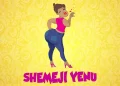 Cartoon DSM – Shemeji Yenu